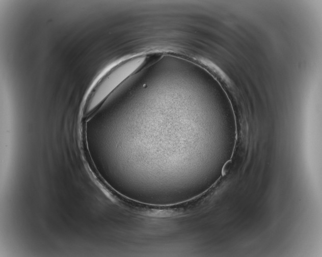 X0000086230894200704121913