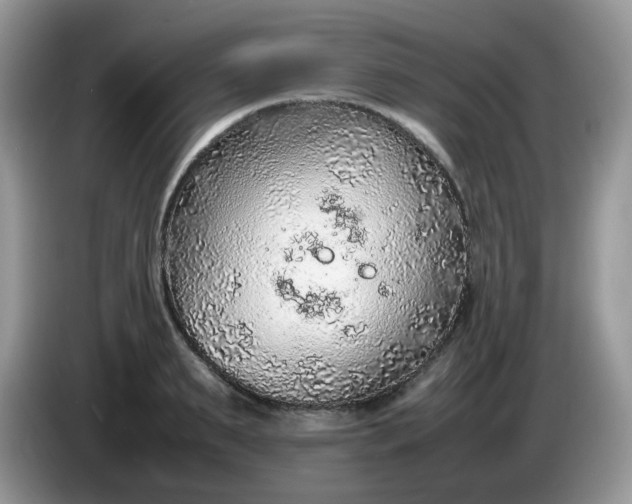 X0000086230895200704121913