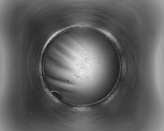 X0000086230896200704121913