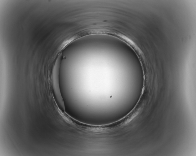 X0000086230897200704121913