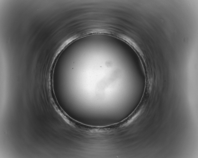 X0000086230898200704121913