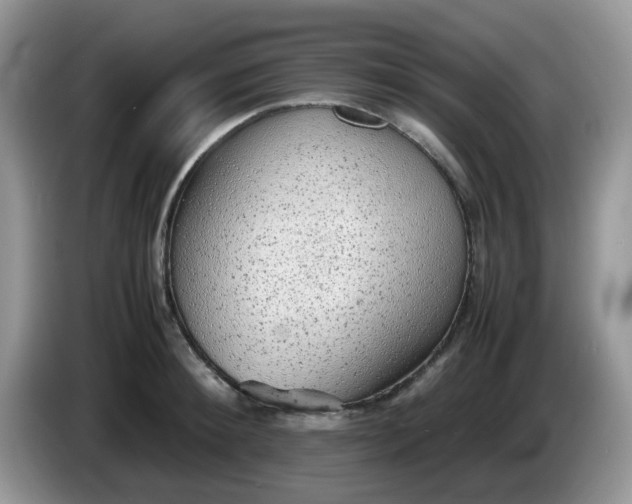 X0000086230900200704121913