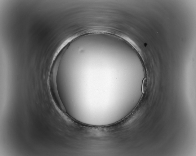 X0000086230901200704121913