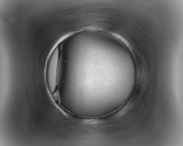 X0000086230902200704121913