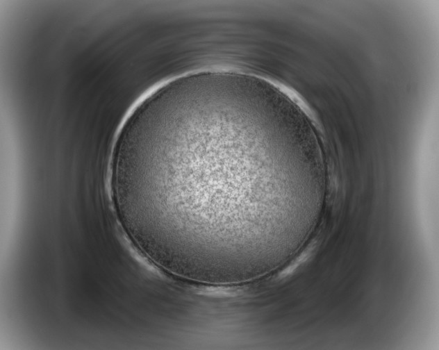 X0000086230904200704121913