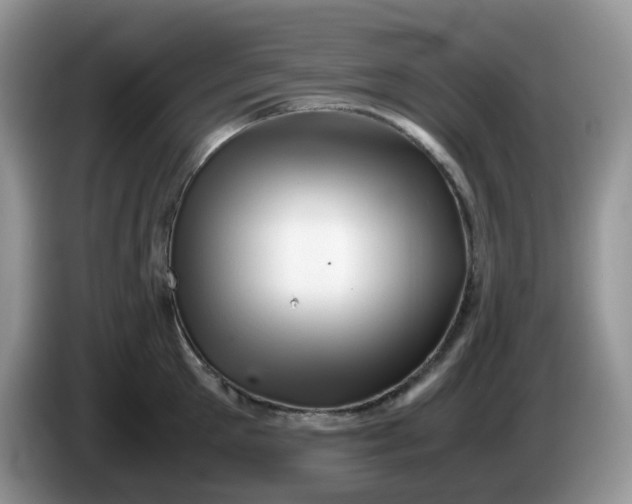 X0000086230905200704121913