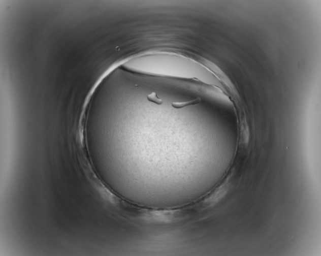 X0000086230908200704121913