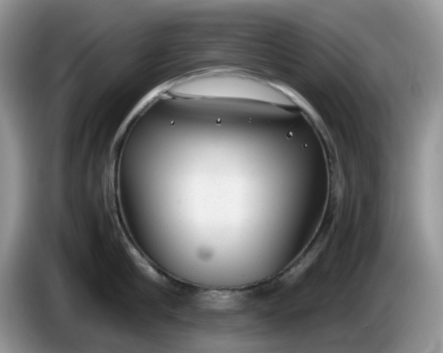 X0000086230910200704121913