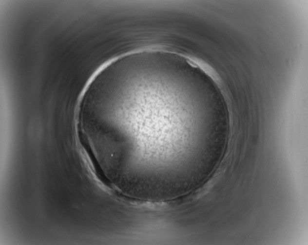 X0000086230912200704121913