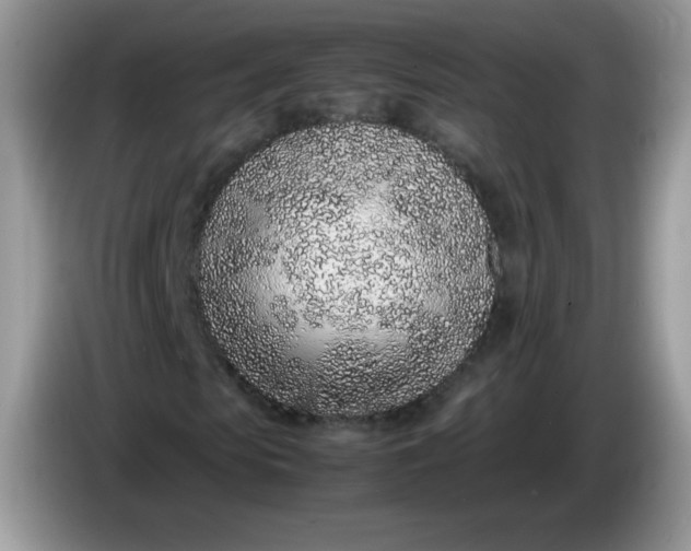 X0000086230913200704121912