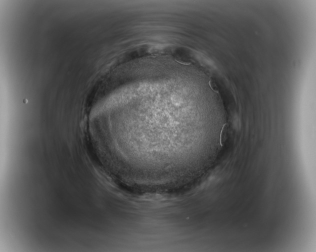 X0000086230914200704121912