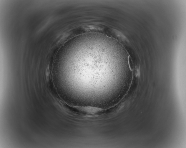 X0000086230915200704121912