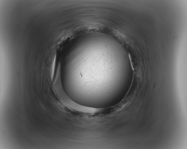 X0000086230916200704121912