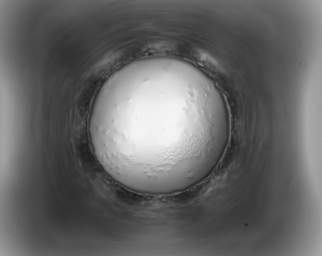 X0000086230917200704121912