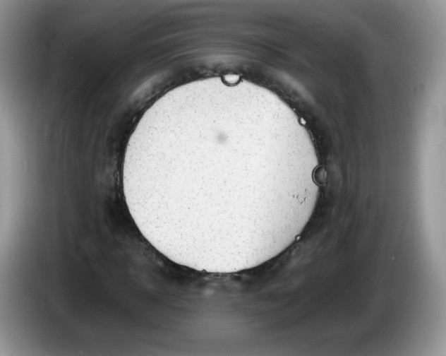 X0000086230918200704121912