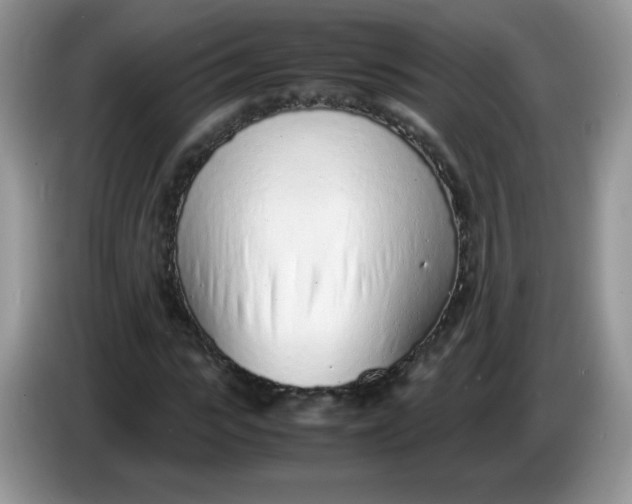 X0000086230919200704121912