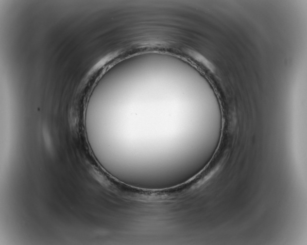 X0000086230922200704121912