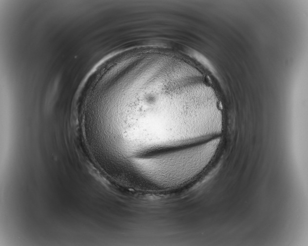 X0000086230923200704121912