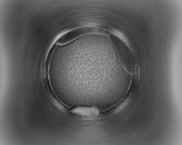 X0000086230924200704121912