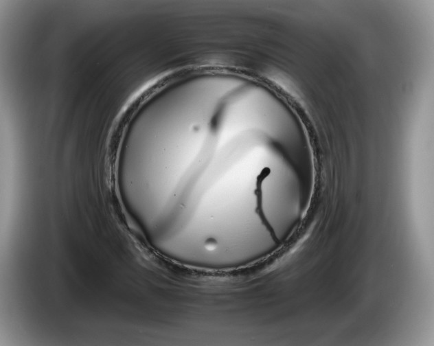 X0000086230925200704121912