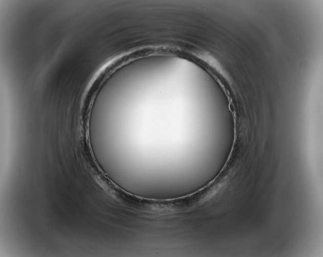 X0000086230927200704121912