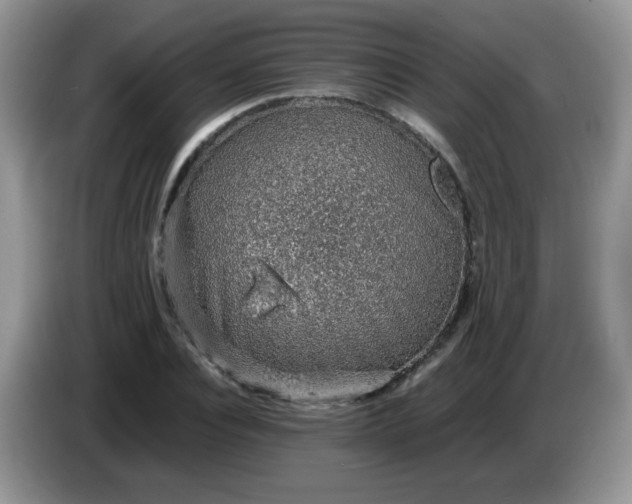 X0000086230928200704121912