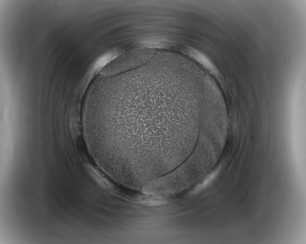 X0000086230930200704121912