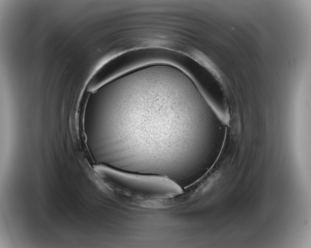 X0000086230932200704121912