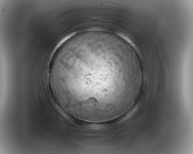 X0000086230933200704121912