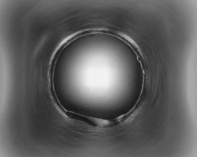 X0000086230935200704121912