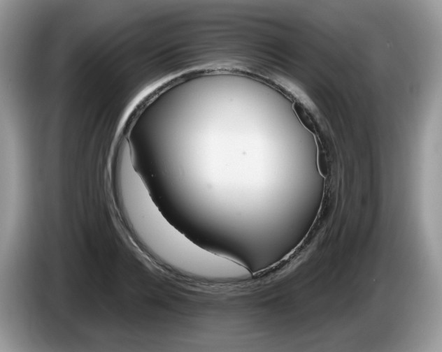 X0000086230936200704121912