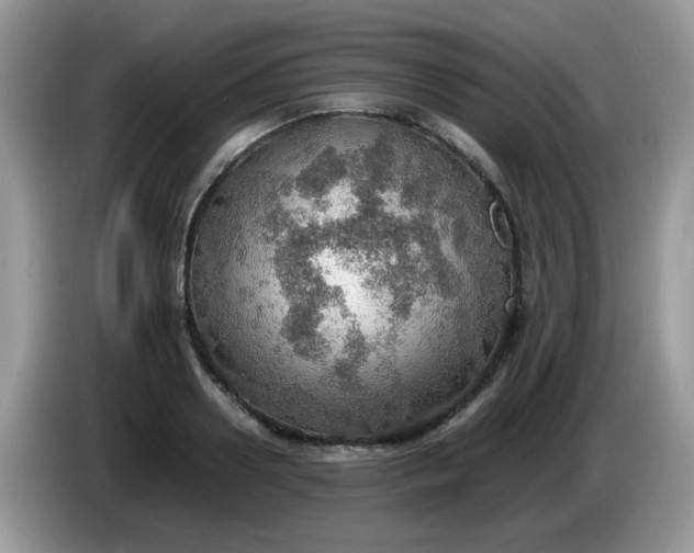 X0000086230938200704121912