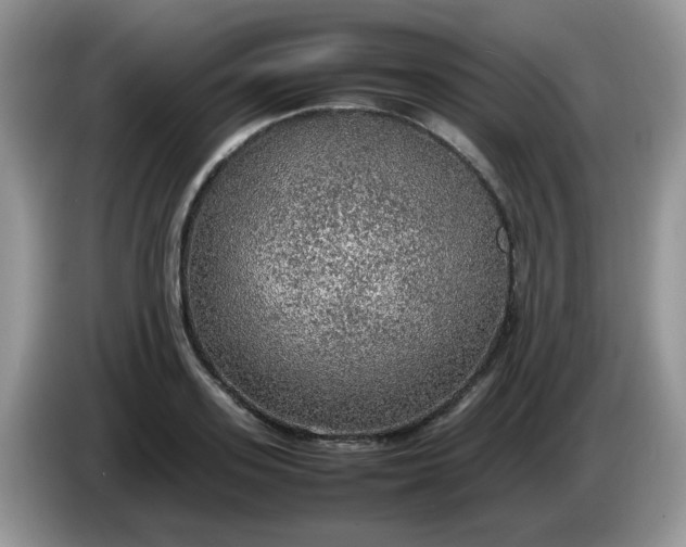 X0000086230939200704121912