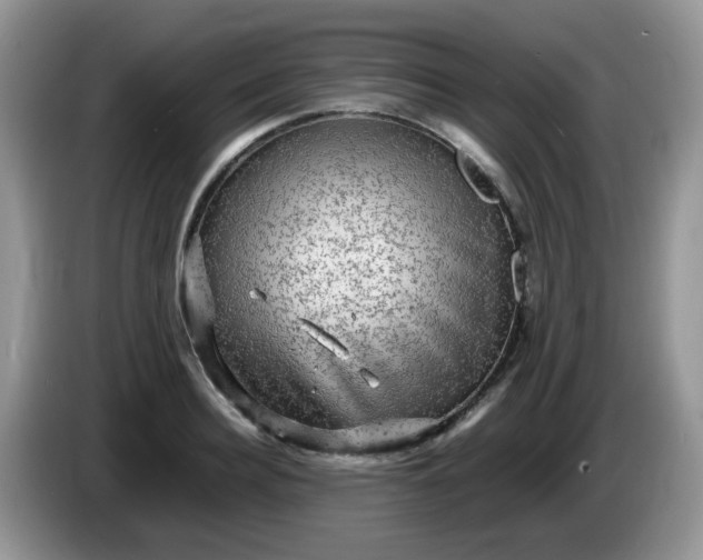 X0000086230940200704121912