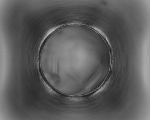 X0000086230941200704121912