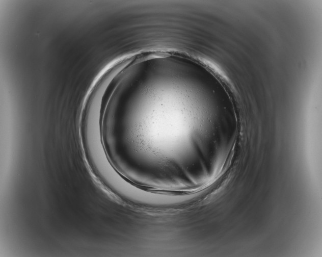 X0000086230942200704121912