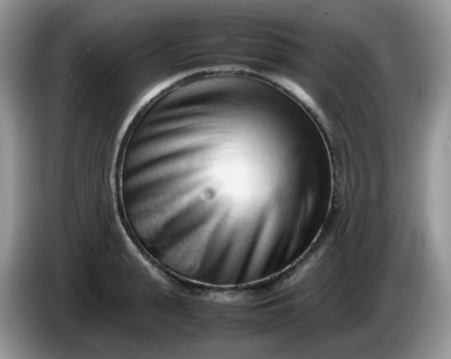 X0000086230943200704121912