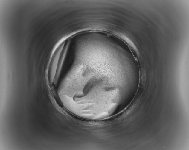 X0000086230944200704121912