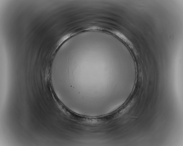 X0000086230945200704121912