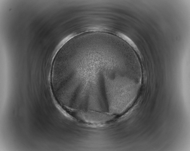 X0000086230946200704121912