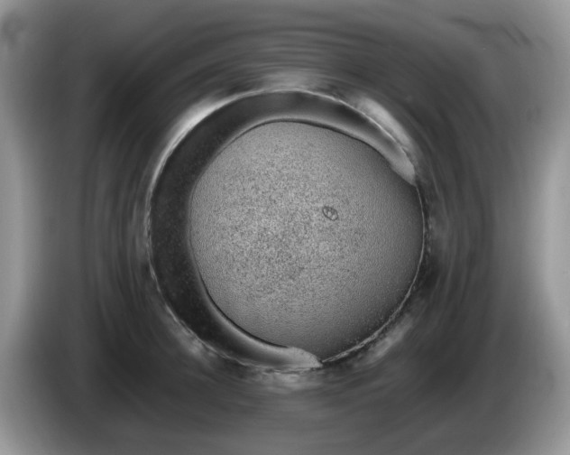 X0000086230948200704121912