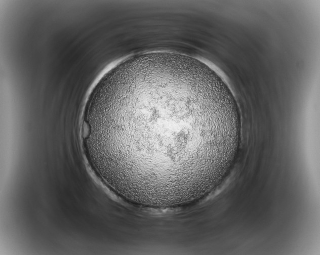 X0000086230949200704121912