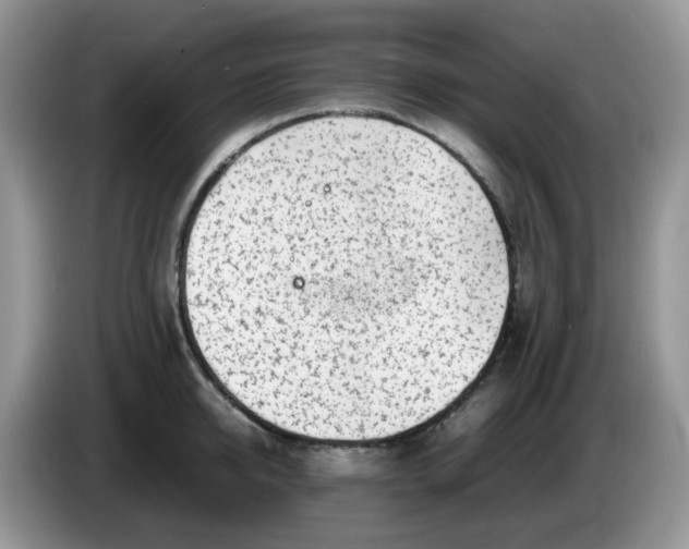 X0000086230950200704121913