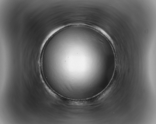 X0000086230951200704121913