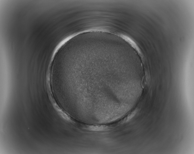 X0000086230952200704121913