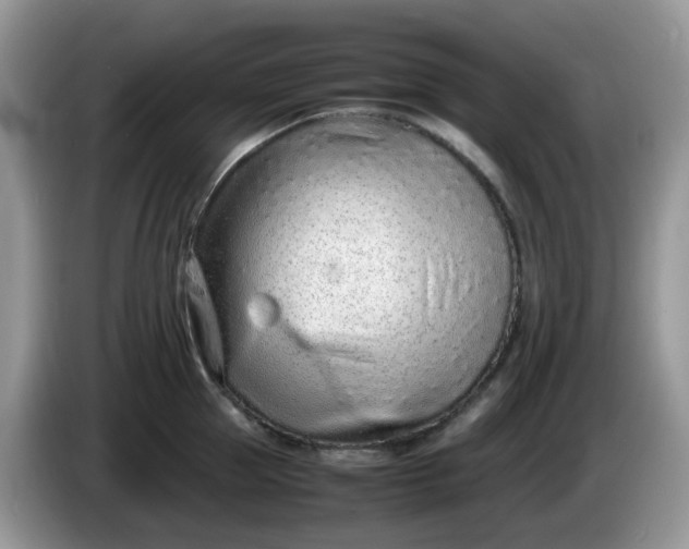 X0000086230953200704121913