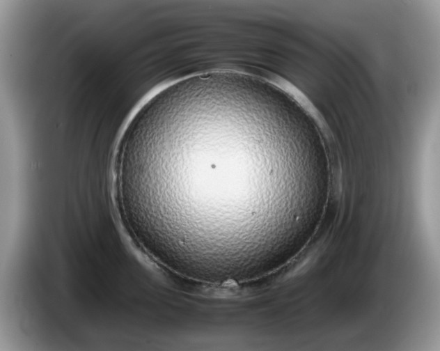 X0000086230955200704121913