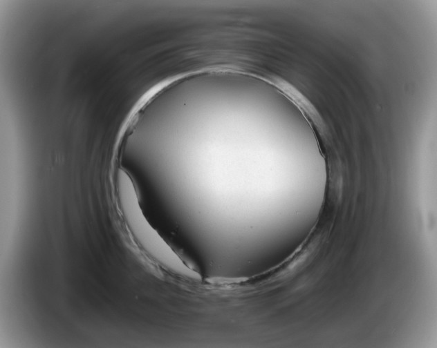 X0000086230956200704121913