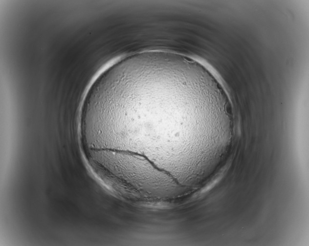 X0000086230957200704121913