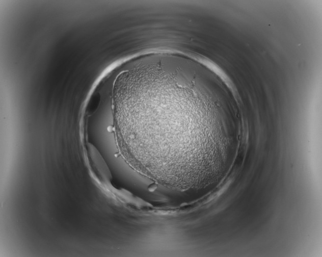 X0000086230958200704121913